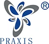 Praxis Naujas Medžiaga Co., Ltd