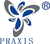 Praxis  Naujas  Medžiaga  Co., Ltd